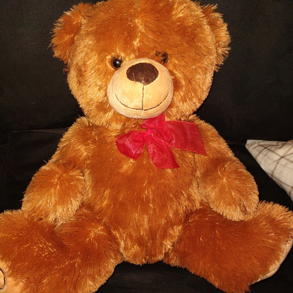 Dan Dee Large Teddy Bear 2012